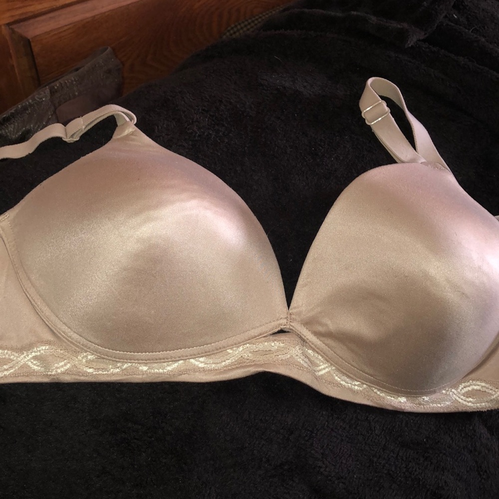 Warner’s bra size 40B